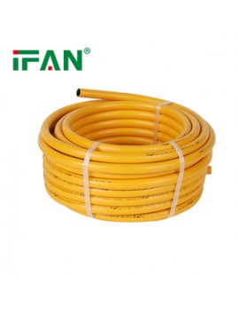 BORU 16 IFAN SARI TP