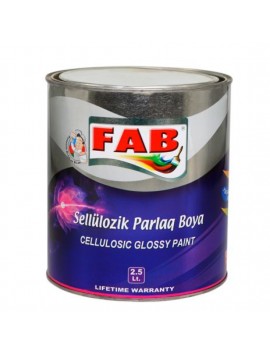 FAB-fab-sellulozik-parlaq-boya